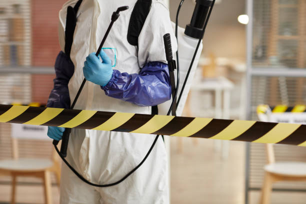 Professional Sewage Cleanup technician working in Reddick, FL